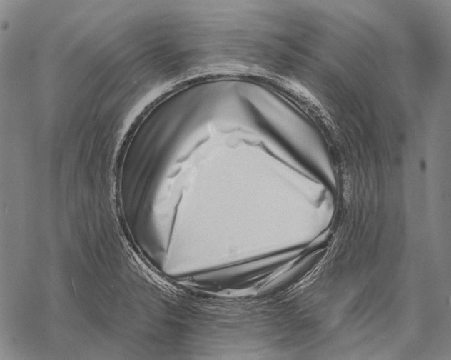 X0000068261326200605191753