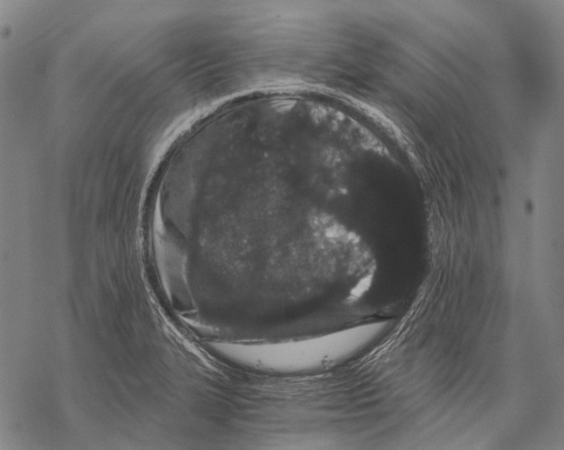 X0000068261327200605191753