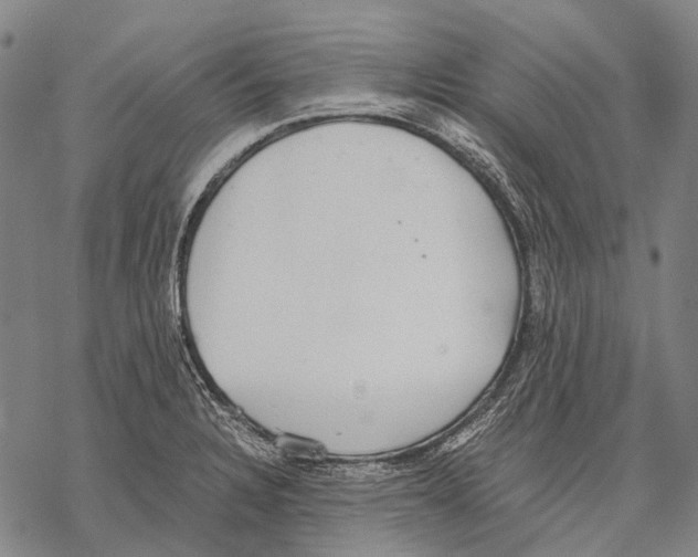 X0000068261328200605191753