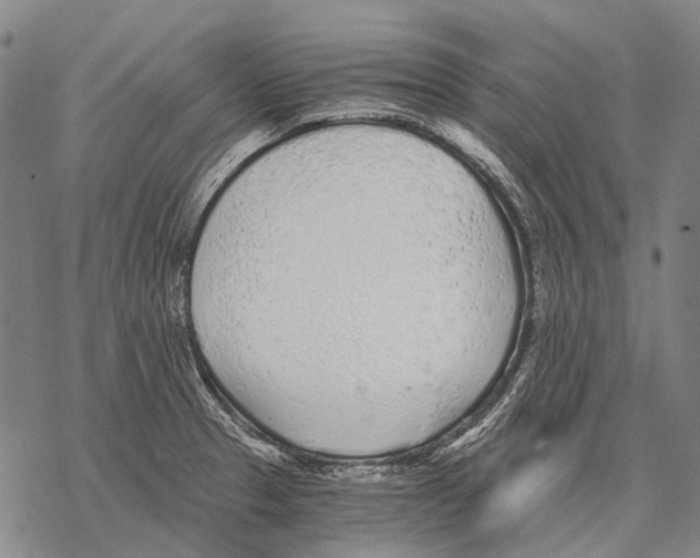 X0000068261329200605191753