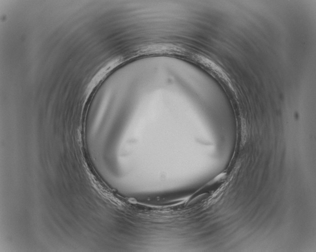 X0000068261330200605191753