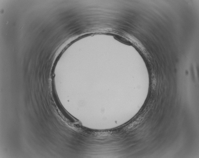 X0000068261332200605191753