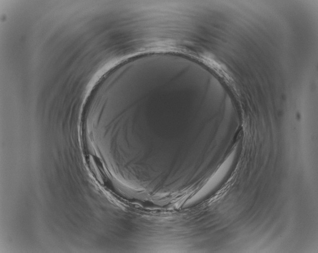 X0000068261334200605191753