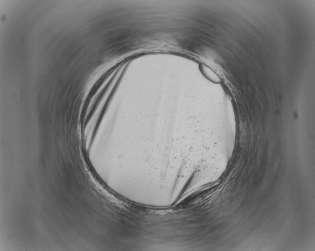 X0000068261335200605191753