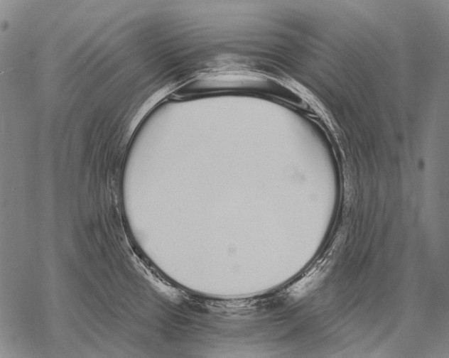 X0000068261337200605191753