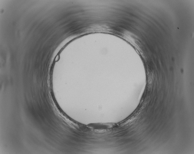 X0000068261339200605191753