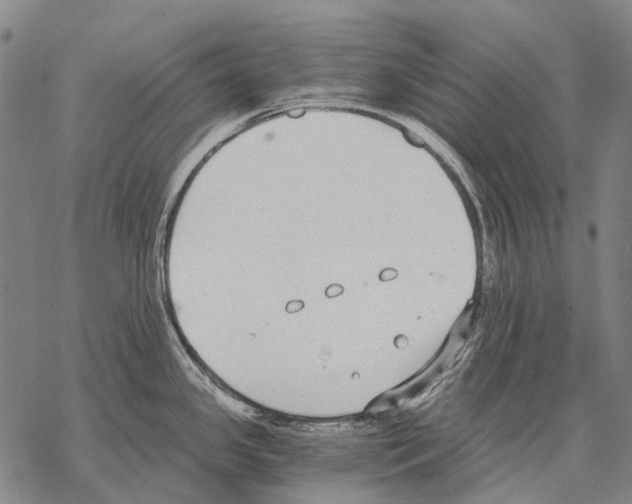 X0000068261341200605191753