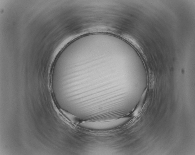 X0000068261342200605191753