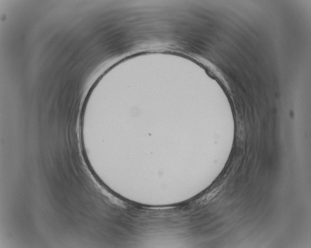 X0000068261343200605191753