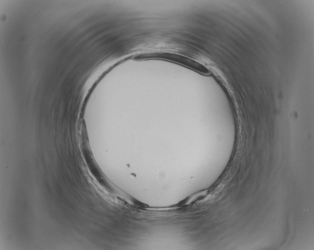 X0000068261344200605191753