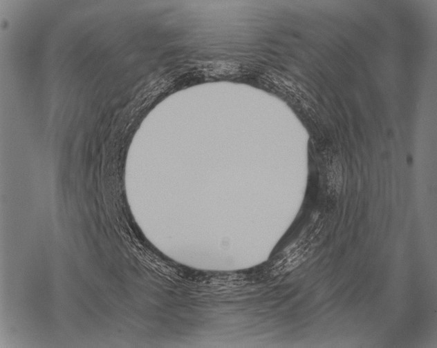 X0000068261345200605191753