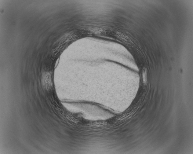 X0000068261347200605191753