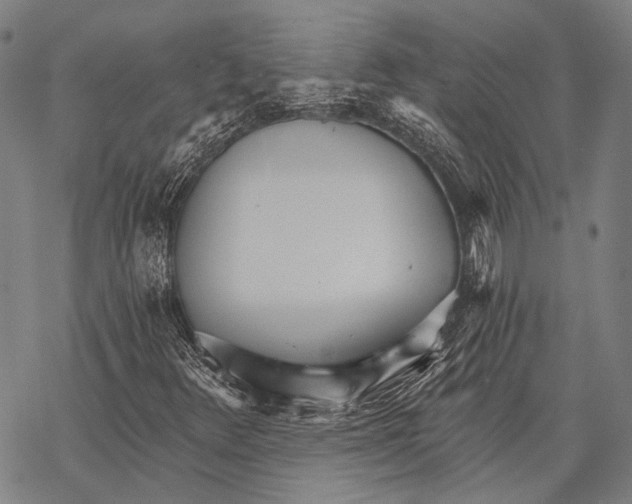 X0000068261348200605191752