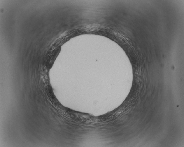 X0000068261349200605191752