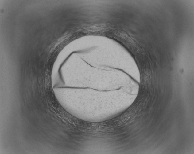 X0000068261350200605191752