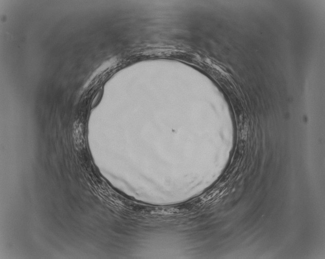 X0000068261351200605191752