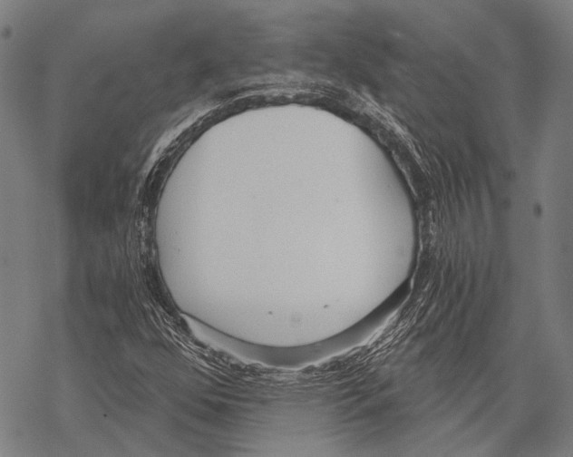 X0000068261352200605191752