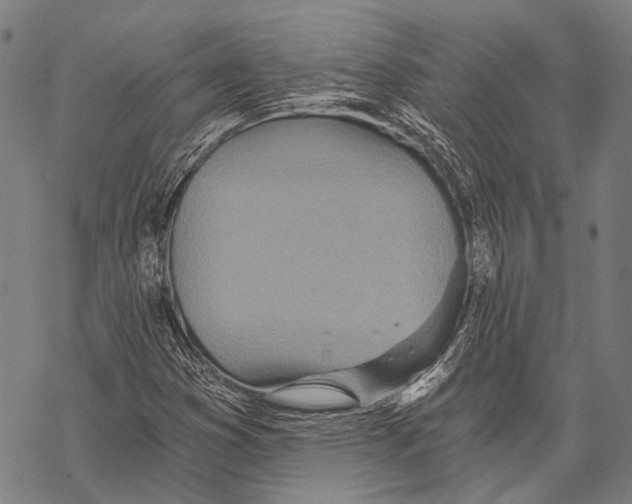 X0000068261353200605191752