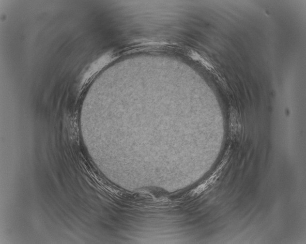 X0000068261354200605191752