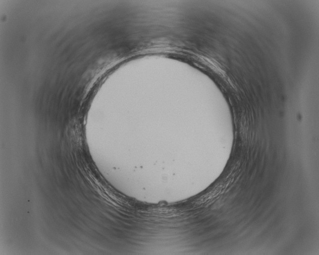 X0000068261356200605191752