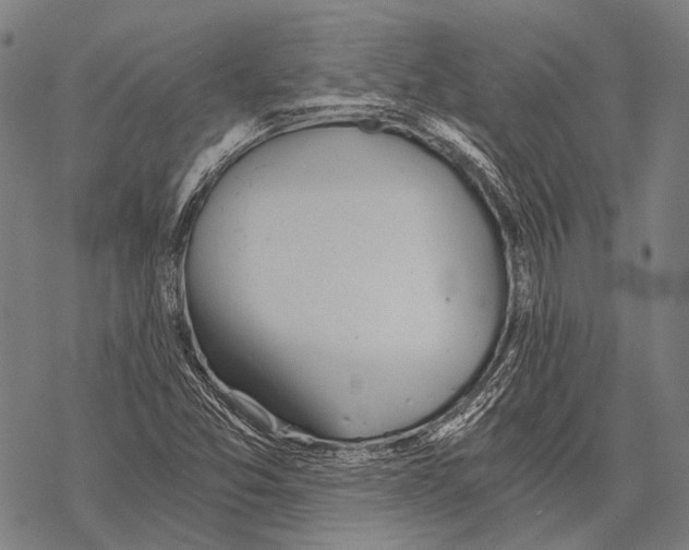 X0000068261357200605191752