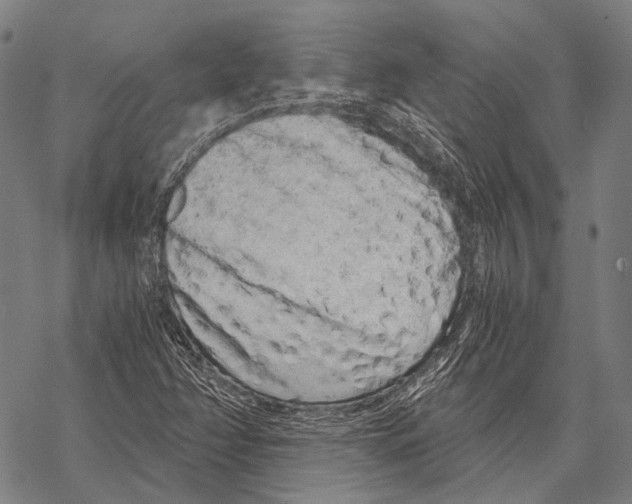 X0000068261358200605191752