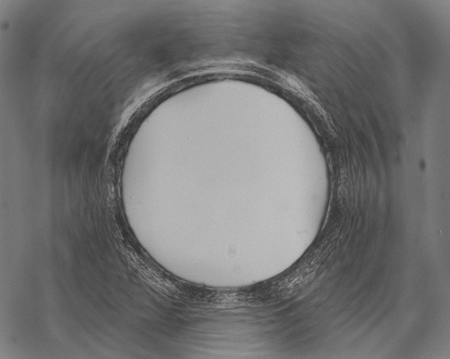 X0000068261360200605191752