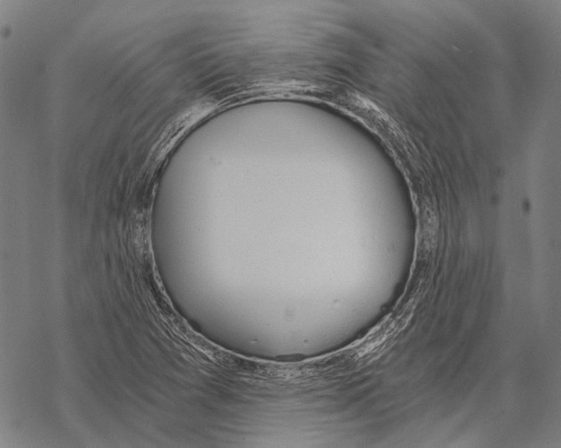 X0000068261361200605191752