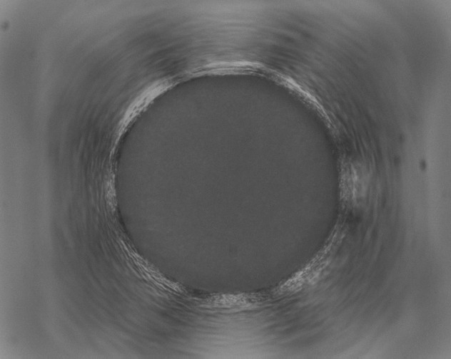 X0000068261362200605191752