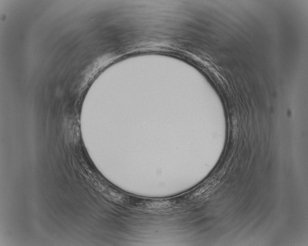 X0000068261363200605191752