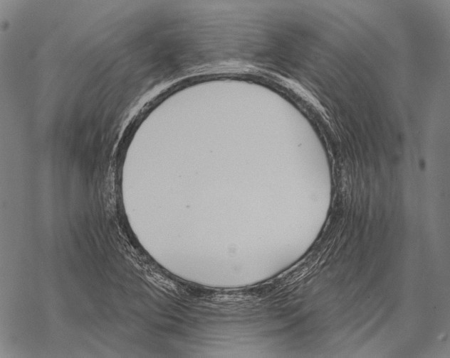 X0000068261364200605191752