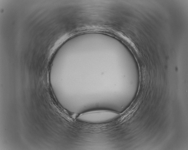 X0000068261365200605191752