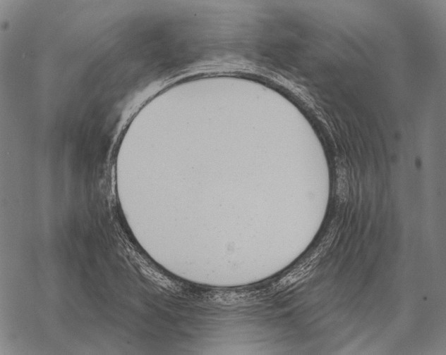 X0000068261366200605191752