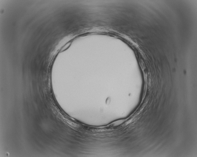 X0000068261367200605191752