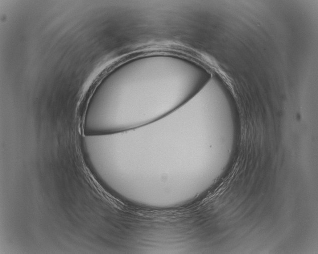 X0000068261368200605191752