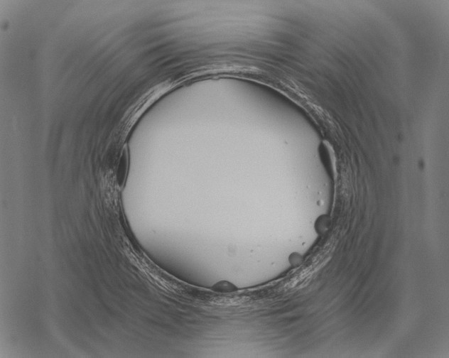 X0000068261369200605191752