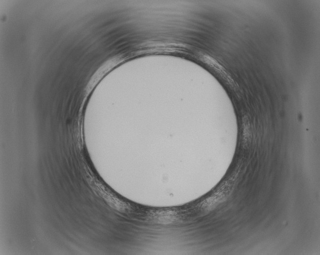 X0000068261370200605191752