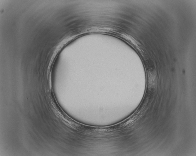 X0000068261371200605191752