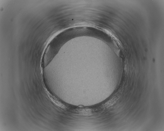 X0000068261372200605191752