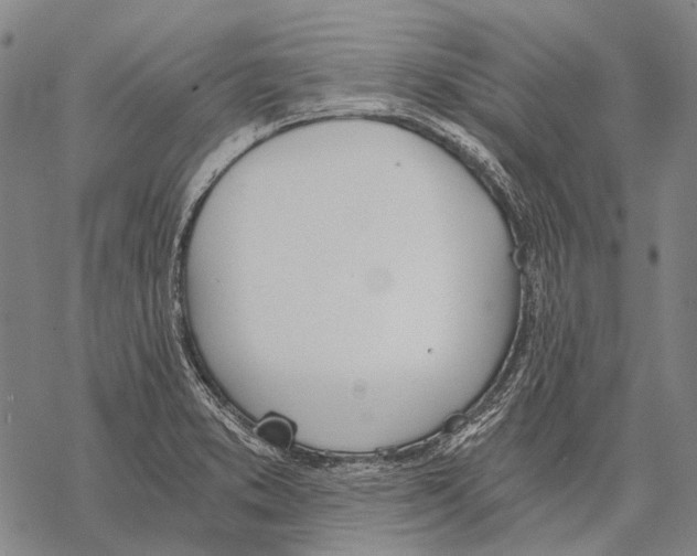 X0000068261373200605191752