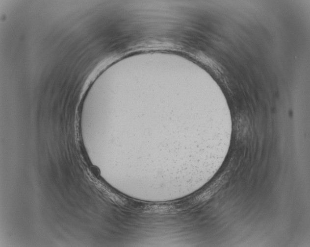 X0000068261374200605191752