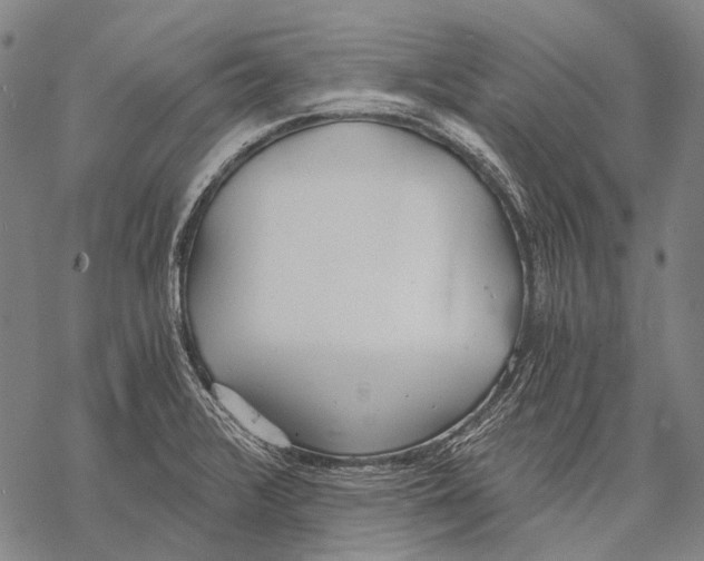 X0000068261376200605191752