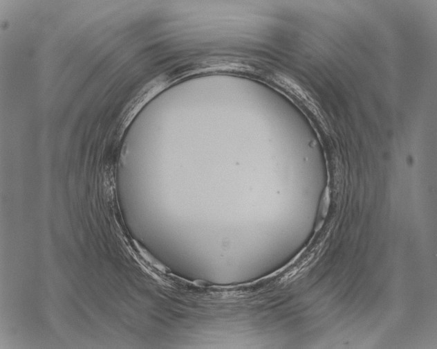 X0000068261377200605191752