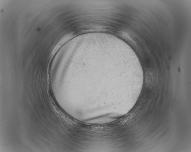 X0000068261378200605191752