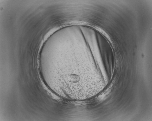 X0000068261381200605191752