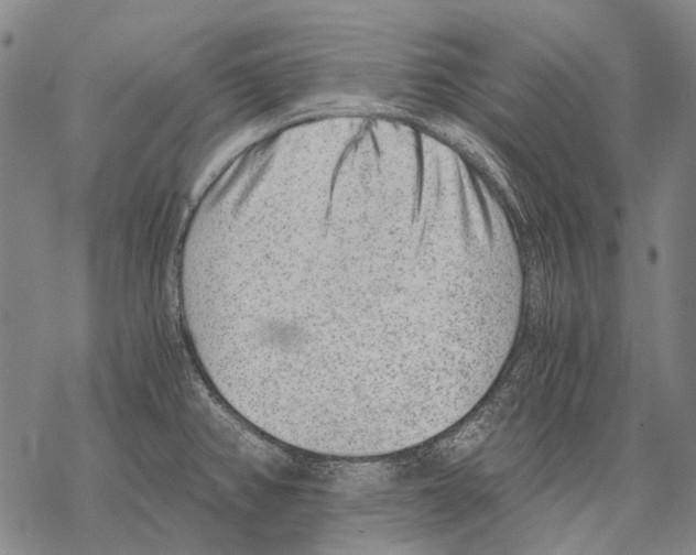 X0000068261382200605191752