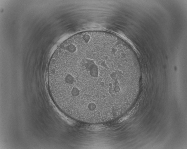 X0000068261383200605191752