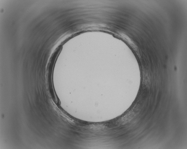 X0000068261384200605191752