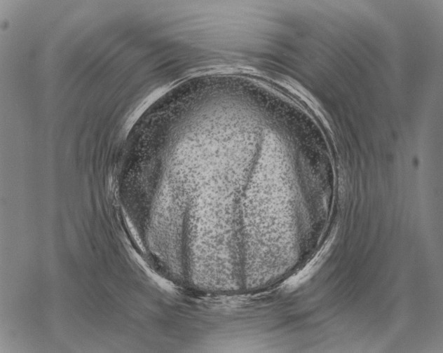 X0000068261385200605191752