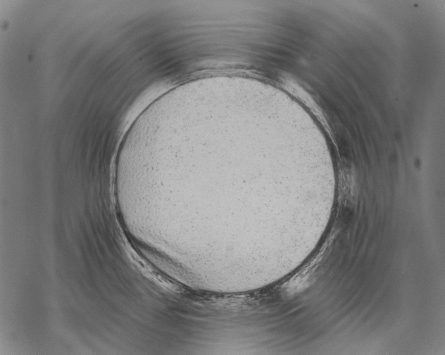 X0000068261386200605191752